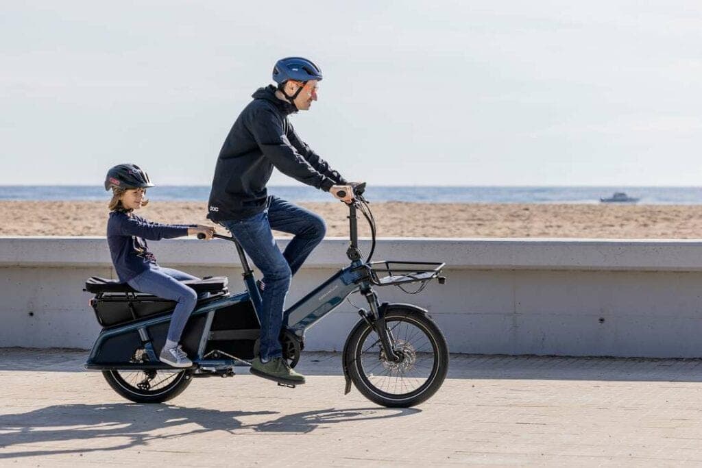 Riese & Müller Multitinker Touring
