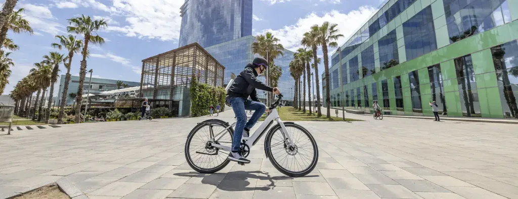 Prueba Riese & Müller UBN Six