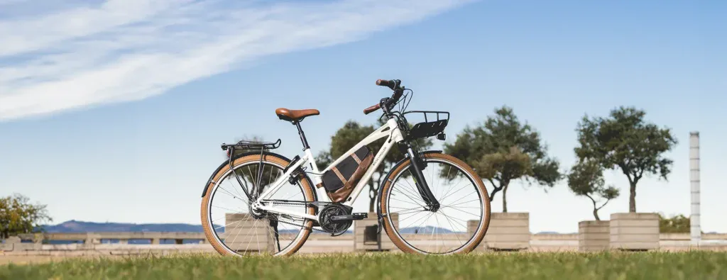 Riese & Müller Cruiser 2