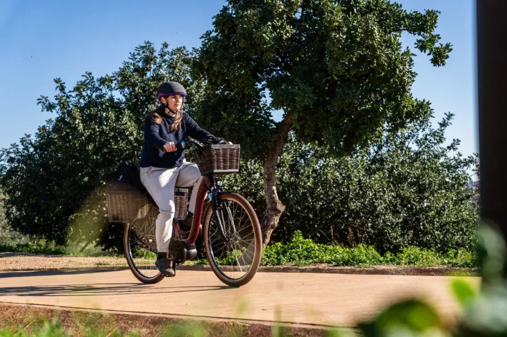 Una persona viaja en una Riese & Müller Swing4 Silent por un sendero, rodeada de césped y árboles bajo el cielo azul claro, abrazando el estilo holandés con facilidad.
